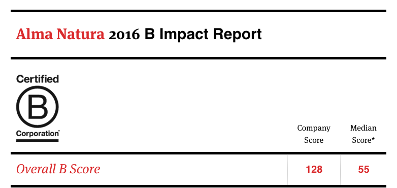 B_Impact_Report