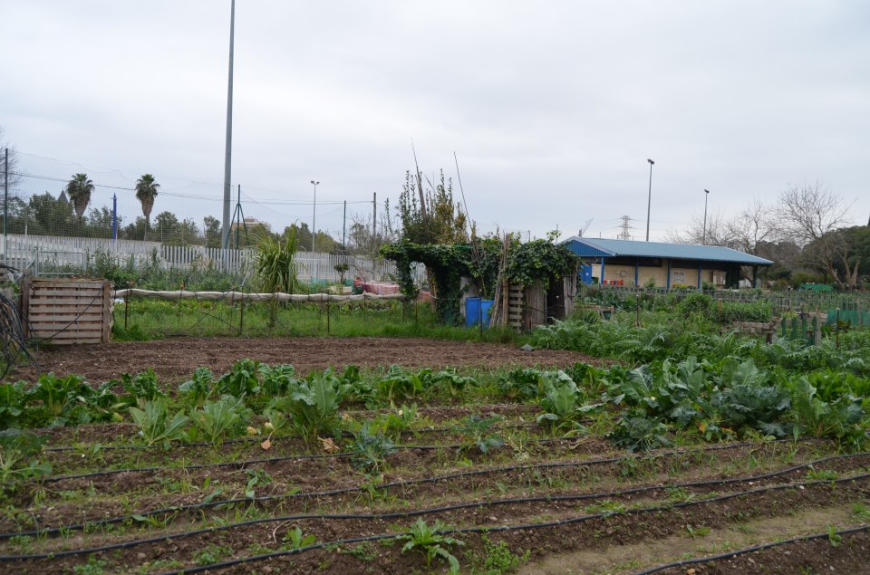 Huertos_urbanos_San_Jeronimo