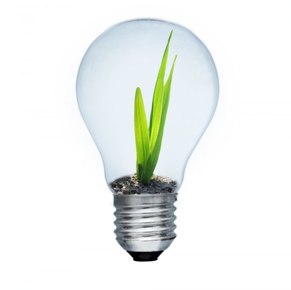 Think Green: eficiencia energética