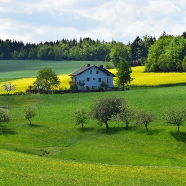 Ideas Que Fijan Poblacion Rural En Espana Almanatura