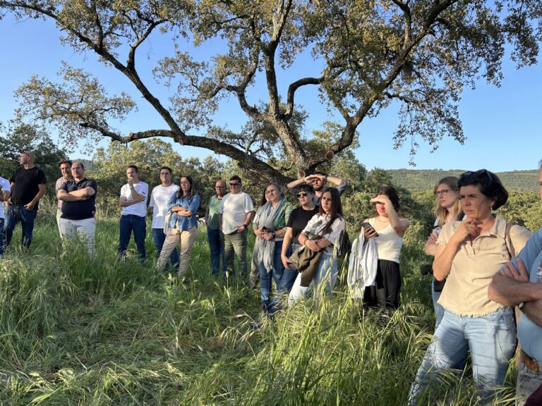 Future Cork: innovación y emprendimiento en el sector corchero para la reactivación rural