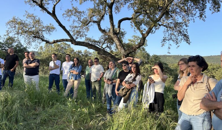 Future Cork: innovación y emprendimiento en el sector corchero para la reactivación rural