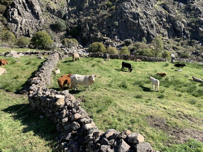 El futuro del campo está en juego: reflexiones sobre el relevo generacional agrario