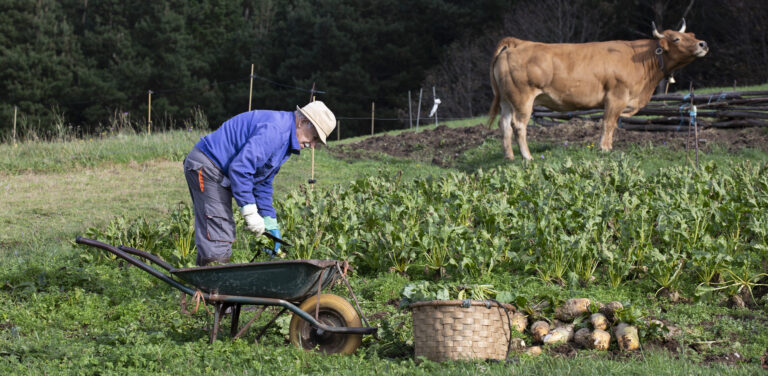 RED Relevo: una oportunidad para que los negocios rurales continúen