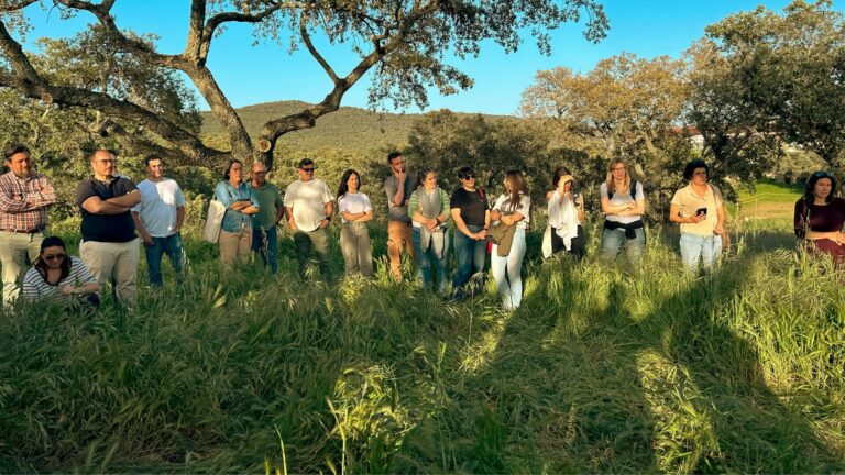 Medir para transformar: lo que hay detrás de nuestro primer Informe de progreso 2025